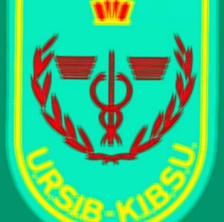 KIBSU URSIB-embleem